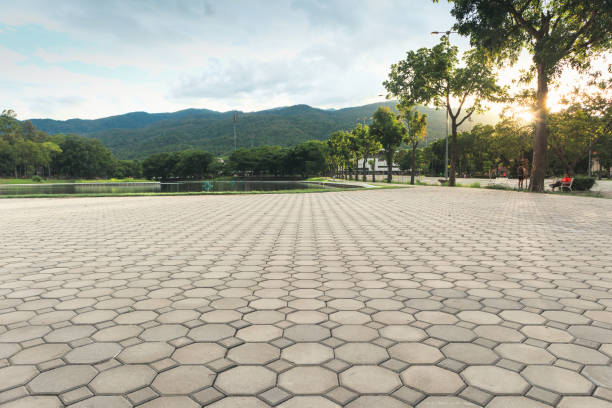 Best Cobblestone Driveway Pavers  in New Port Richey, FL